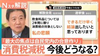 “高市旋風”自民が歴史的大勝　「消費税ゼロ」「非核三原則」どうなる？“白紙委任状態”政策の行方は【Nスタ解説】