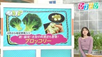 4月から指定野菜『ブロッコリー』実は“茎”まで栄養満点！茎が主役の料理店も【ひるおび】