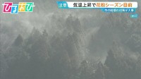 花粉症対策は“先手必勝”がカギ！早めの対策を医師が解説【ひるおび】