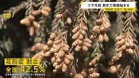 あす春節　賑わう観光地では「目薬とティッシュは必ず…」スギ花粉　東京で飛散開始　一方でインフルB型急増　1シーズンで2度「警報レベル」超え【news23】