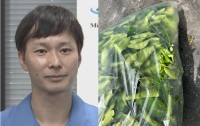 【 ごみ清掃芸人 】トゲのある植物「集積所のすぐ隣にわかりやすく置いてくれると清掃員は助かります！」【マシンガンズ滝沢】