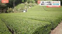 “ペットボトルのお茶” 来月値上げ 「お～いお茶」237円に　主な要因は容器代や燃料費の高騰も…世界的な抹茶ブームの陰に弱る現場