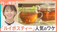 市場規模5年で10倍！人気急上昇「ルイボスティー」数千人の雇用創出、飲む以外の活用法も【Nスタ解説】