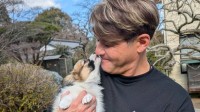 【 照英 】 新たな家族　生後2か月の愛犬『パピコ』との近況を報告「パパは幸せだけど、パピコはしあわせかい？これから沢山沢山遊ぼうね～」