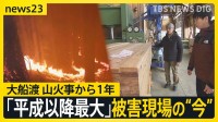 “平成以降最大”岩手・大船渡の山火事から1年　「ファイヤーロード」「水を使わない」アメリカに学ぶ山火事対策　「燃えた木はどうなる？」復興に向けた活用へ【news23】