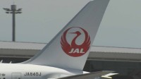 日本航空が羽田-ドーハ便を今月3日まで欠航　約1000人に影響　アメリカ・イスラエルのイランへの軍事攻撃受け