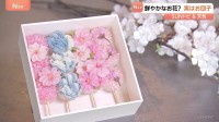 鮮やかなお花？実はお花みたいな白あんと天然色素のお団子【SUNトピ】