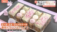 春にぴったり！ひな祭り＆桜スイーツ盛りだくさん！「さくらフェス」で春の気分を満喫