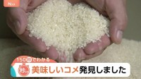 最高ランク「特A」に43銘柄！千葉の「粒すけ」は“倒れない”強さで初選出　2025年おコメの食味ランキング【Nスタ解説】