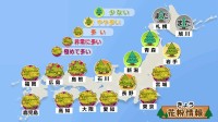【5日・今日の天気】関東～九州まで広く晴れ“花粉大量飛散”　北陸・北日本では所々で雨や雪　関東は夕方まで強風注意【雨と雪のシミュレーション】