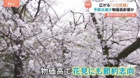 お花見にも「節約志向」定着　予算は1000円減、一方で「ソロ花見」は2.2倍に