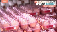 イラン情勢悪化で食卓に影響も…高騰続く卵は1パック15円↑キャベツは5%ほど値上がりの試算も