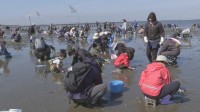 千葉・富津海岸で潮干狩りがオープン　東京湾で最も早い春のレジャー