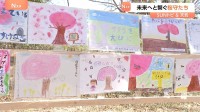 「10年後になっても桜が元気に育つようにしたい」未来へと繋ぐ桜守たち　東京・国立市【SUNトピ】