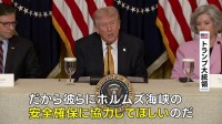トランプ大統領が日本など名指し ホルムズ海峡での石油タンカーの安全な航行めぐり「喜んで協力すべき」