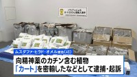 違法薬物含む植物「カート」で初摘発　ソマリア国籍の男（48）を逮捕・起訴　約250キロを押収　麻薬取締部