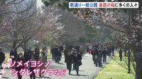 皇居･乾通り｢春の一般公開｣スタート 約100本の桜が並び、晴天のもと観光客らでにぎわう　3月29日まで開催