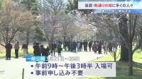 皇居･乾通り｢春の一般公開｣スタート 晴天のもと1.8万人が訪れる　ソメイヨシノやシダレザクラなど桜が約100本