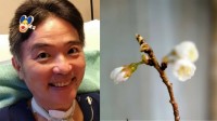 【ニャンちゅう】声優・津久井教生さん　「待ち焦がれた我が家の春が来ました〜♪」自宅の桜開花を報告　体調も「乙女心の心拍数は落ち着いて来ました♪」【ＡＬＳ闘病】