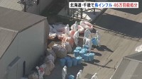 千歳市の養鶏場で高病原性鳥インフルエンザ　ニワトリ46万羽の殺処分始める　北海道の発生は今シーズン5例目