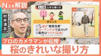桜をスマホで上手に撮りたい！「曇ると色が…」「良い角度は？」プロが伝授 悩みを解決【Nスタ解説】