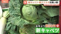 家計の救世主？いま旬の「新物野菜」が安くてうまい！新ジャガイモに…新タマネギも　オススメは新キャベツ 甘味が強くシャキシャキ