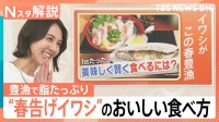 1匹なんと38円？！“春を告げる”イワシが日本海側で豊漁に！　この春おすすめのイワシの食べ方は？【Nスタ解説】