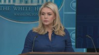 ホワイトハウス報道官　ホルムズ海峡の封鎖「受け入れられない」イラン側の報道は“虚偽”との認識示す