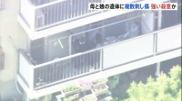 大阪・和泉市母子遺体　殺人事件として捜査本部設置　娘の右頬には「殴られた痕」も　頭や首などに複数の刺し傷・切り傷　強い殺意か