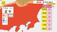 【全国で“春の嵐”】帰宅ラッシュに直撃した雨と風…各地で倒木相次ぐ　11日（土）は気温上昇…関東では夏日続出か【news23】