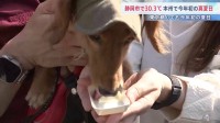 「肉球熱いか心配」今年初の“夏日” 都内で犬と楽しむイベント　静岡市は30.3℃で本州初の“真夏日”に　各地で29℃台を記録するなど4月中旬とは思えない季節外れの暑さに