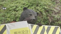 神奈川・秦野市でクマ対処訓練を実施　警察官や市役所職員ら約60人が駆除手順を確認　昨年度の県内の目撃件数は90件以上