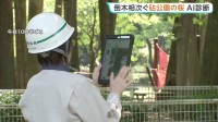 倒木相次ぐ世田谷「砧公園」で“AI樹木診断”　緊急点検中　57本は倒木の危険性が判明
