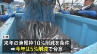 今年のサンマの漁獲枠5%削減で合意　日本が求める10%削減は適用されず