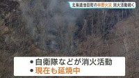 丸一日経っても消火活動続く…北海道・池田町で林野火災　住宅や牛舎など50～60ヘクタールが焼失　住宅の敷地内から燃え広がったか