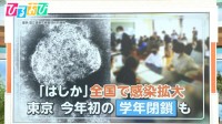 感染力“インフルの10倍”「はしか」全国で急増　ワクチン接種の効果は【ひるおび】
