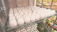 たまご価格　最高値更新の先月からほぼ横ばいも高水準続く