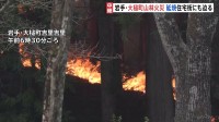 岩手・大槌町の山林火災　延焼続き住宅街にも迫る　82世帯210人が避難所に　防災ヘリや自衛隊ヘリなど消火活動