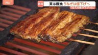 「うなぎは今が一番おすすめ」値下げする店が増加中！　豊漁で卸価格が昨年比25％減