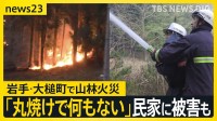 岩手・大槌町の山林火災　早朝から消火活動も“鎮火のめど”立たず…民家1棟を含む7棟の建物に被害 「丸焼け何もない」住民が語る悲痛な思い…【news23】