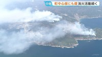 岩手・大槌町内2か所で発生の山林火災　東の風で街中心部も煙に覆われる　収束の見通し立たず