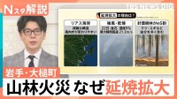 迫る炎の脅威…岩手・山林火災「数年に1回の規模」に　なぜ延焼拡大？“負のスパイラル”断ち切るには【Nスタ解説】