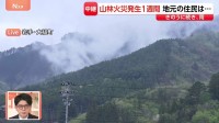 岩手・大槌町の山林火災　高校付近の延焼現場の様子　雨で蒸気が立ちのぼり…発生から1週間、地元の住民は