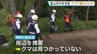 顔や頭、首などに引っかき傷　犬の散歩中だった40代女性がクマに襲われる　富山県内での人身被害は今年初