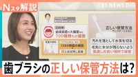 その歯ブラシ、大丈夫？歯垢1gに1000億個の細菌が…風呂場はNG？プロが教える意外な“落とし穴”【Nスタ解説】