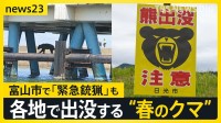 GWも警戒を！各地で出没する“春のクマ” …約1.5m・86kgの個体「緊急銃猟」も　京都や日光などの観光地では「クマ対策」迫られる【news23】
