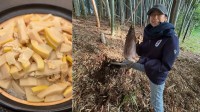 【 木村多江 】「たけのこづくし」「自然の恵み」掘ったたけのこで手料理三昧　フォロワー反応「癒やしの多江さま」「お腹空いてきました」