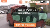 GWにも出没「後ろを向いたらクマが…」4月ツキノワグマによる死者は約20年で初の“異例”の事態…観光地でも“音バリア”・ドローンで対策