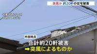 「屋根の瓦が飛ばされた」栃木・宇都宮市の住宅約20軒で塀が崩れるなどの被害　突風が原因か　けが人なし