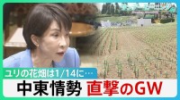 政府は“必要量確保”強調も…中東情勢がゴールデンウィークを直撃　ユリの花畑は1/14に　背景にはホルムズ海峡経由で供給の肥料高騰が【サンデーモーニング】